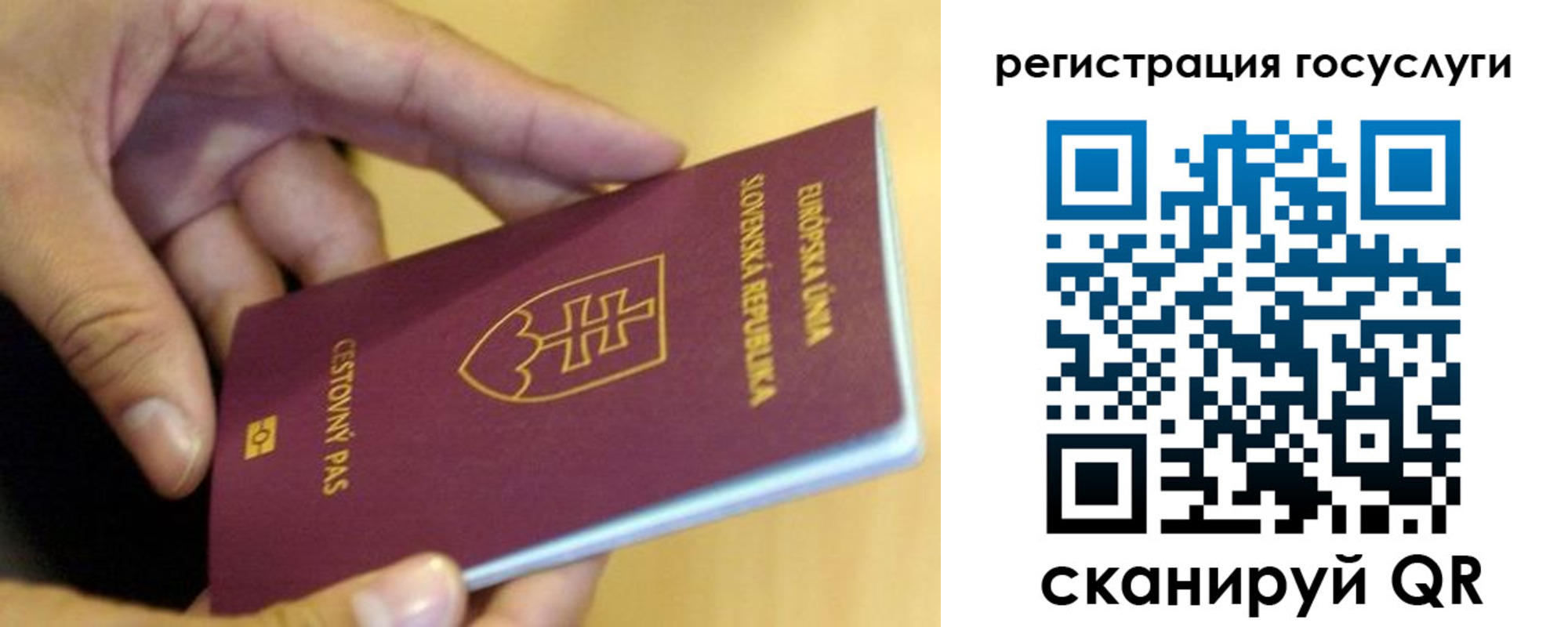 прописка в квартире в Судогде
